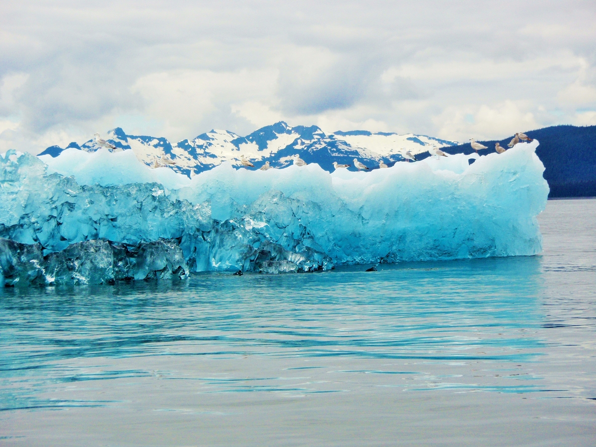 Ice