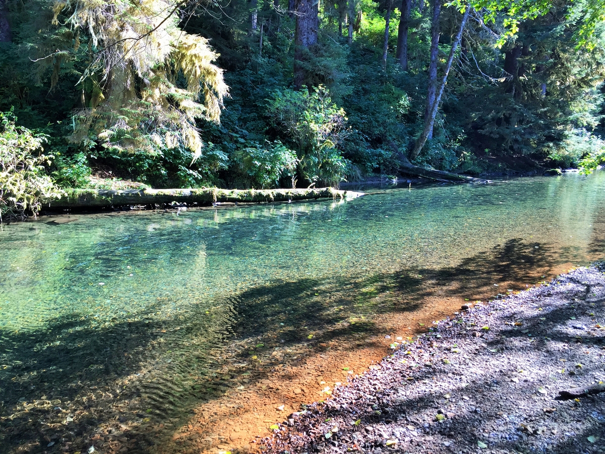 Salmon/River